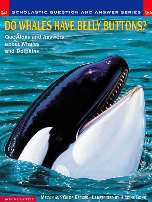 Title details for Do Whales Have Belly Buttons? by Melvin Berger - Available